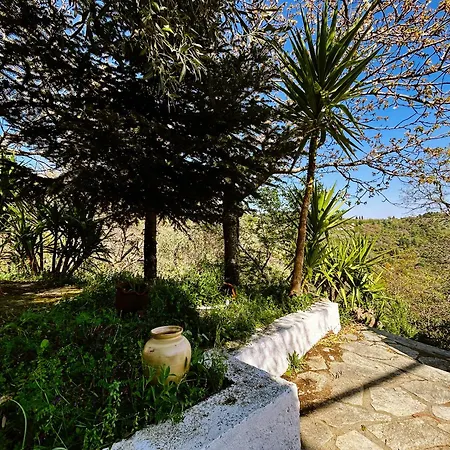 Lunara Forest Escape Pyrgos Skopelos Apartment Panormos (Skopelos)